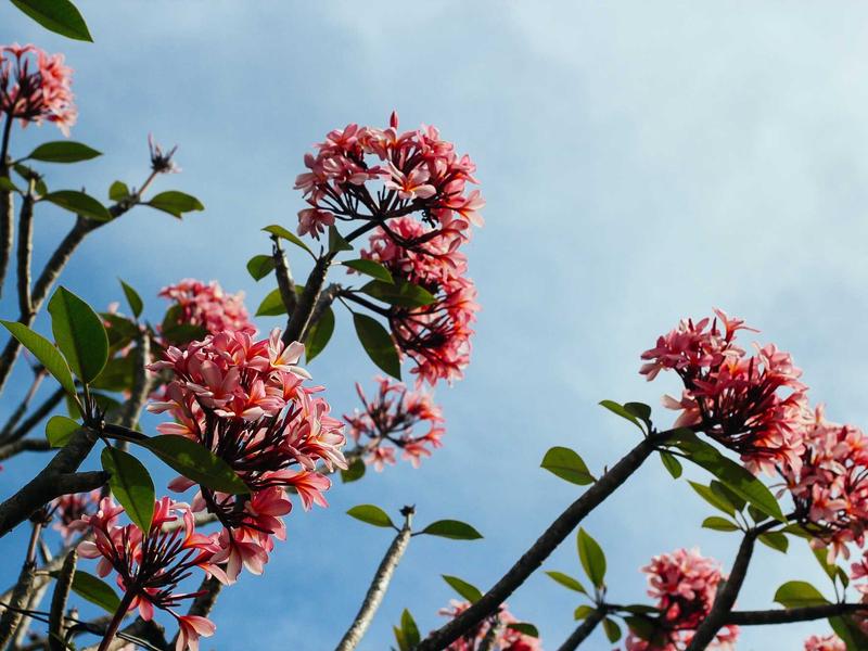 DJ an den Turntables, Club-Atmosphäre